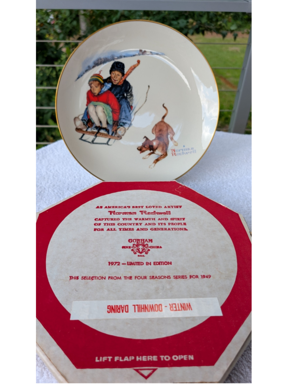 Gorham Norman Rockwell Winter Downhill Daring Decorative Wall Plate One Size